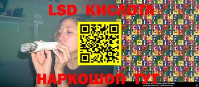 ПСИЛОЦИБИНОВЫЕ ГРИБЫ Гусев