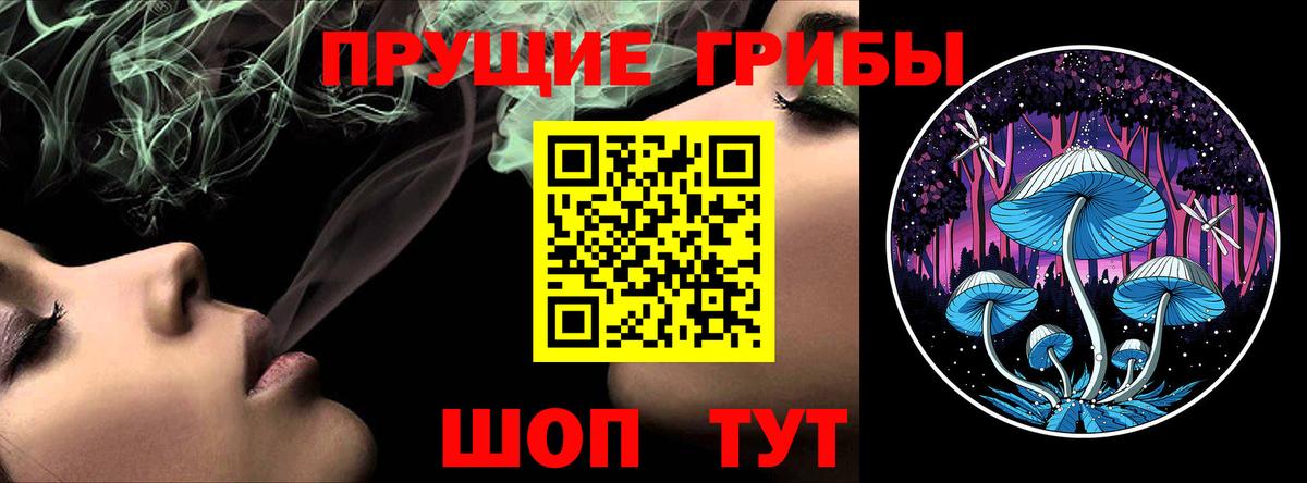 Медногорск  Псилоцибиновые грибы ЛСД  Вход с VPN 