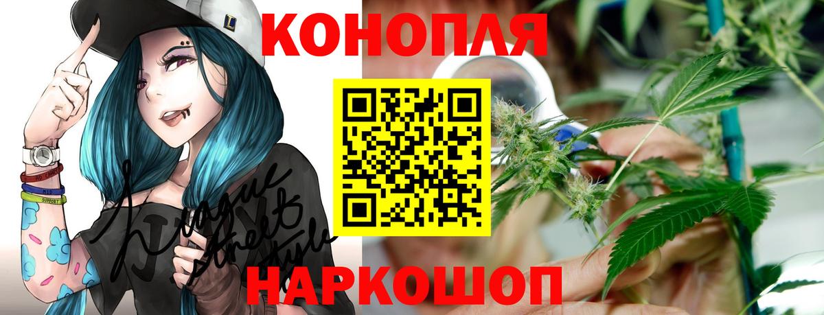 Канабис планчик  Вход с VPN  Бошки марихуана AK-47  Медногорск  Канабис тримм 